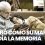 La Memoria Infinita: Documental Que Trasciende el Alzheimer.